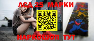 индика Будённовск