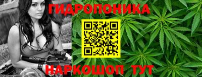 индика Будённовск