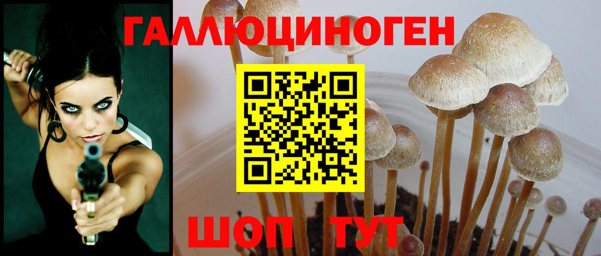 Псилоцибиновые грибы Psilocybe  Вход с VPN  купить наркотик  Тихорецк 